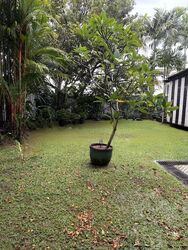 Jalan Haji Alias (D10), Detached #453753011